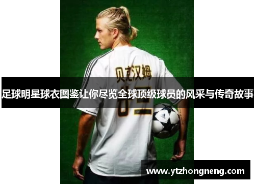 足球明星球衣图鉴让你尽览全球顶级球员的风采与传奇故事
