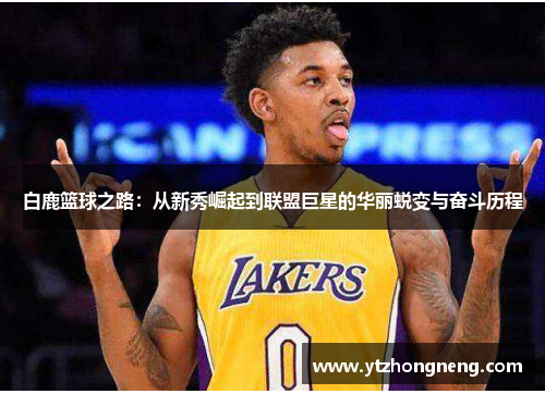 白鹿篮球之路：从新秀崛起到联盟巨星的华丽蜕变与奋斗历程