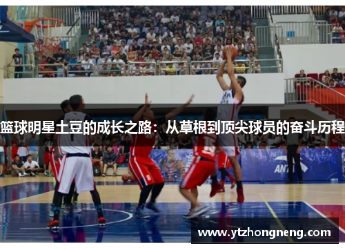 篮球明星土豆的成长之路：从草根到顶尖球员的奋斗历程