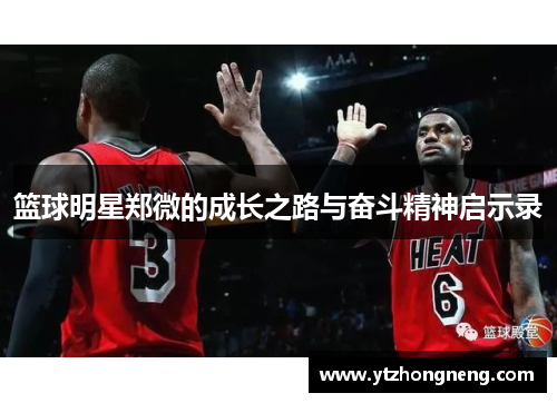 篮球明星郑微的成长之路与奋斗精神启示录